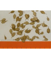 Oak - Dry leaves 1:72 / 1:87