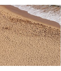 Terrains Beach Sand 250ml