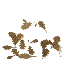 Oak dry leaves 1:35